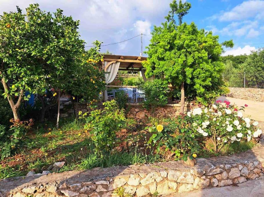 Rustic Retreat in Kefalonia Argostolion Exterior foto