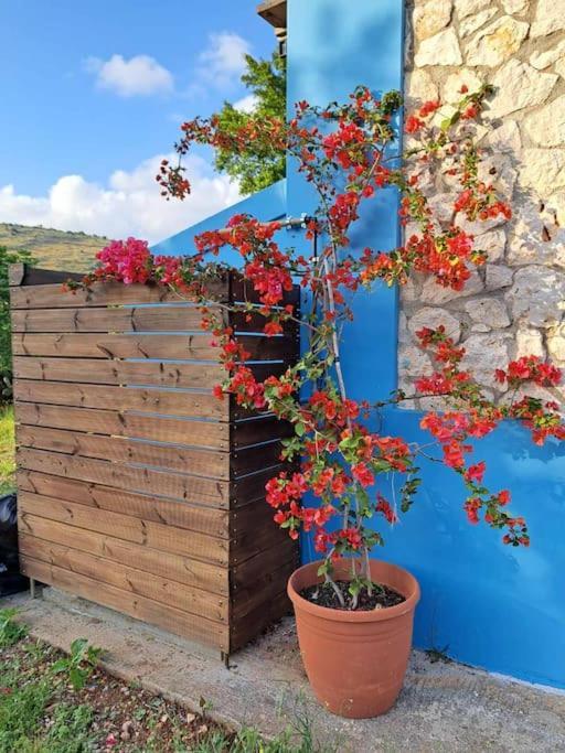 Rustic Retreat in Kefalonia Argostolion Exterior foto